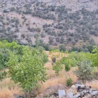 فروش باغ تفریحی