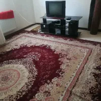 2تخته  فرش دست باف وماشینی کارکرده|فرش|نمین, |دیوار