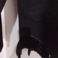 کت، مانتو|لباس|کوهدشت, |دیوار