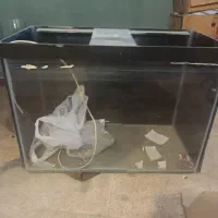 اکواریوم