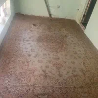 دو تحنه فرش ۱۲و۶متری|فرش|مشهد, آبکوه|دیوار