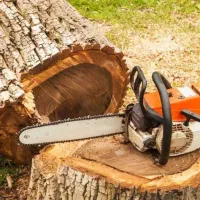 خرید برش چوب هیزمی باغی