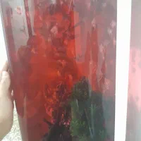 ماهی انجل|ماهی|نظرآباد, مسکن مهر نظرآباد|دیوار