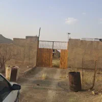گاوداری