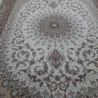 ۱۲۰۰شونه سالم وتمیز