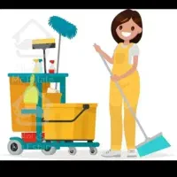 نظافتچی خانوم برای منزل