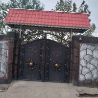 باغ-فروشی-کاهو