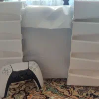 ps5 fat