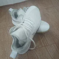 کفش.اورجینال|کیف، کفش، کمربند|سیجوال, |دیوار