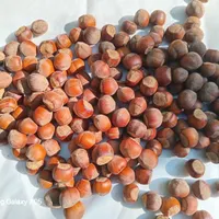 فروش فندق