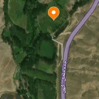 فروش باغ با درختان صنوبر و چنار محلی علی اباد