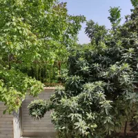 ویلایی-موقعیت-تجاری-و-مسکونی-منطقه-1-و-6