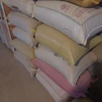 بذر گندم یونی استار