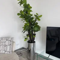 گل و گلدان استیل