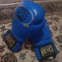 دستکش بوکس|تجهیزات ورزشی|همدان, |دیوار