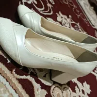 کفش نو|کیف، کفش، کمربند|سبزوار, چهارراه فرودگاه|دیوار