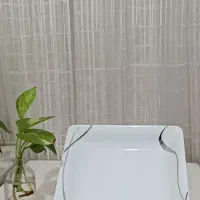 بشقاب چینی|ظروف سرو و پذیرایی|شاهرود, |دیوار