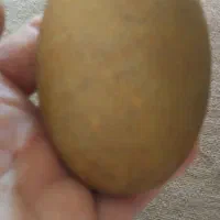 فروش سنگ باستانی قیمتی