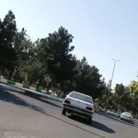 فروش فوری باغچه با انواع درختان میوه