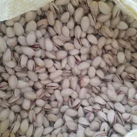 پسته خوشمزه ارگانیک آذربایجان|خوردنی و آشامیدنی|صوفیان, |دیوار