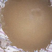 فروش مقداری بذر یونجه