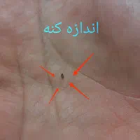 خدمات سمپاشی قشم روستاهای اطراف قشم|خدمات نظافت|قشم, |دیوار