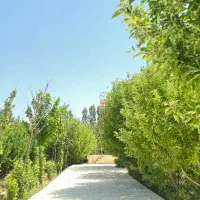 فروش باغ ویلا با درختان ثمری|فروش خانه و ویلا|سپیدان, |دیوار