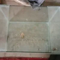 اکواریوم بزرگ