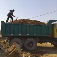 کود حیوانی گاوی گوسفندی