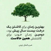 نیازمند مغازه جهت میوه فروشی