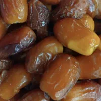 خرمای جون و خوشمزه|خوردنی و آشامیدنی|یزد, |دیوار