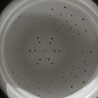 ماشین لبلس شویی پاکشوما|ماشین لباسشویی و خشککن لباس|قوچان, |دیوار