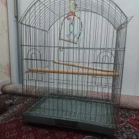 قفس پرنده