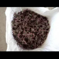 ۳تن سنبل الطیب و ۲تن سرخارگل(گیاهان دارویی)|خوردنی و آشامیدنی|تهران, ولنجک|دیوار