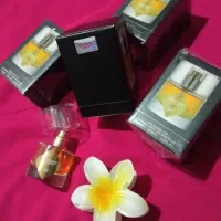 مینی عطر|آرایشی، بهداشتی، درمانی|لار, |دیوار