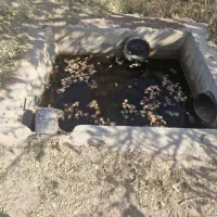 زمین کشاورزی|فروش دفتر صنعتی، کشاورزی، تجاری|دشتابی, |دیوار