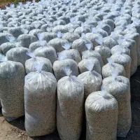 تفاله چغندر و ذرت علوفه دان دار