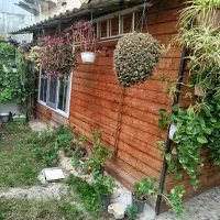 اجاره سوییت روزانه