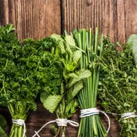 استخدام فروشنده خانم