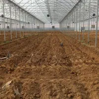 خریدوفروش گلخانه نو ودست دوم