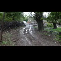 زمین-و-باغ-کلنگی