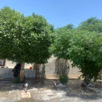 فروش خانه باغ در روستای خنامان از توابع رفسنجان