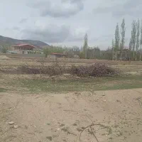 زمین