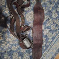 هیکلی سالم اصل