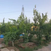 ویلا ۵۰۰ متری تهران|فروش خانه و ویلا|تهران, تهرانسر شرقی|دیوار