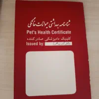 سلام پامر شیتزو