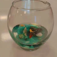 تنگ ماهی .اکسسوری رزین