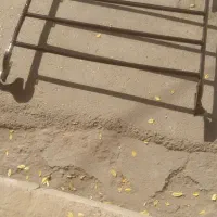 باربند پراید