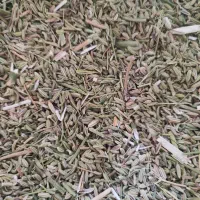 فروش رازیانه|خوردنی و آشامیدنی|سردرود, |دیوار