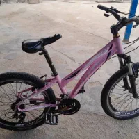 دوچرخه 24 فروشی